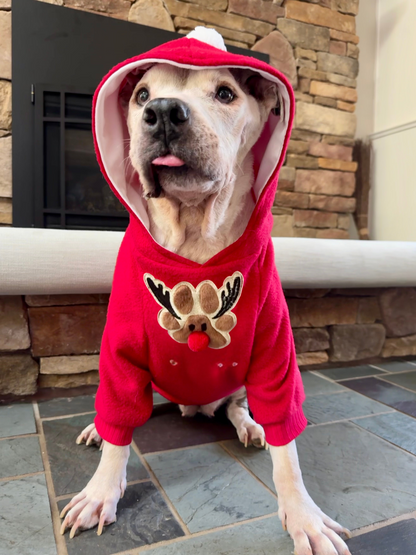Rudolph Is Up To Snow Good Dog Hoodie