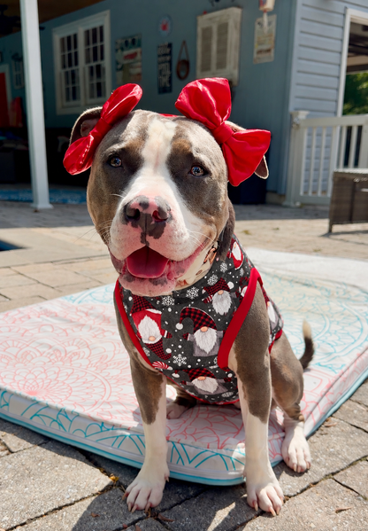 Gnome for the Holidays Ultra-Luxe - Dog Pajama with Red Neck & Trim/Sleeves