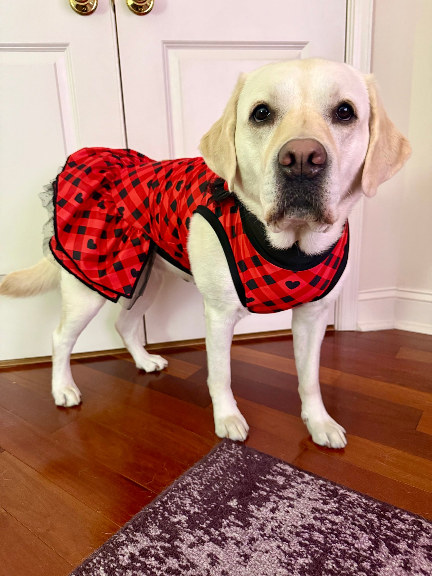 Love You Plaid Much Dog Pajama with Black Neck & Trim/Sleeves