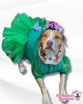 Fancy Dog Tutu Dress