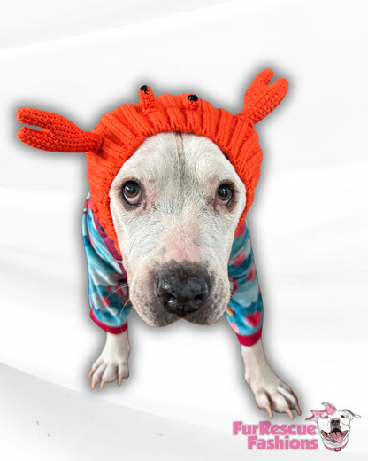 Lobster Cozy Dog Snood