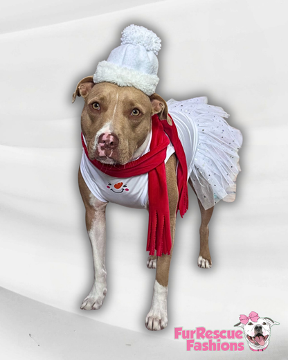 Frosty Kisses Sparkly Dog Tutu Dress