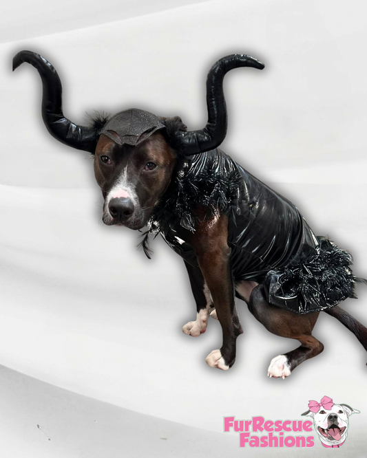 Maleficent-Inspired Mistress of Darkness Dress With Or Without Horn Headband