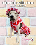 2024 Spring Dog Dress With Ruffle / With Sleeves or Sleeveless (Available in any pattern)