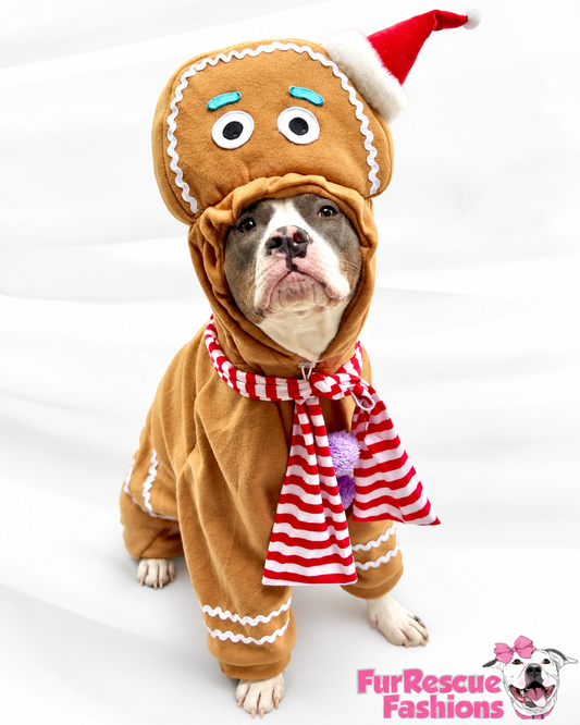 Sugar & Spice Gingerbread Christmas Dog Costume