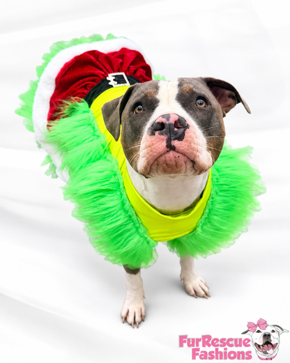 Whoville Holiday Belle Couture Christmas Dog Dress