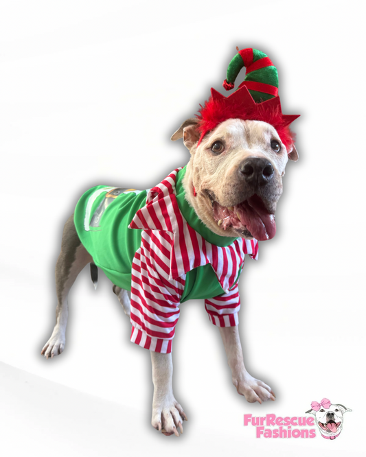 Elf Squad Dog Shirt