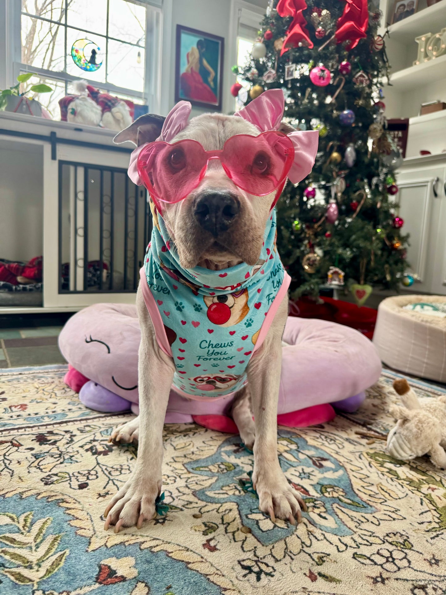 Chews You Forever Dog Pajama with Pink Neck & Trim/Sleeves