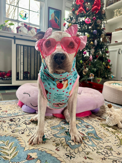 Chews You Forever Dog Pajama with Pink Neck & Trim/Sleeves