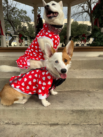 Classic Valentine Dog Pajama with White Neck & Trim/Sleeves