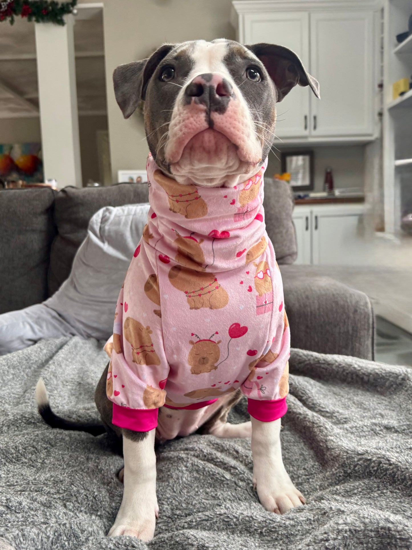 Lovey Capy Dog Pajama with Hot Pink Neck & Trim/Sleeves