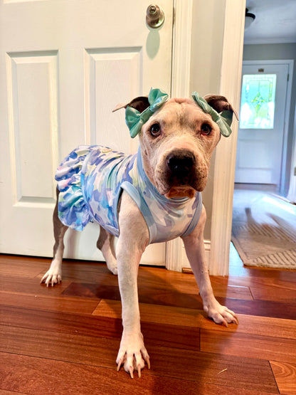 Starry Pastels Dog Pajama with Aqua Neck & Trim/Sleeves