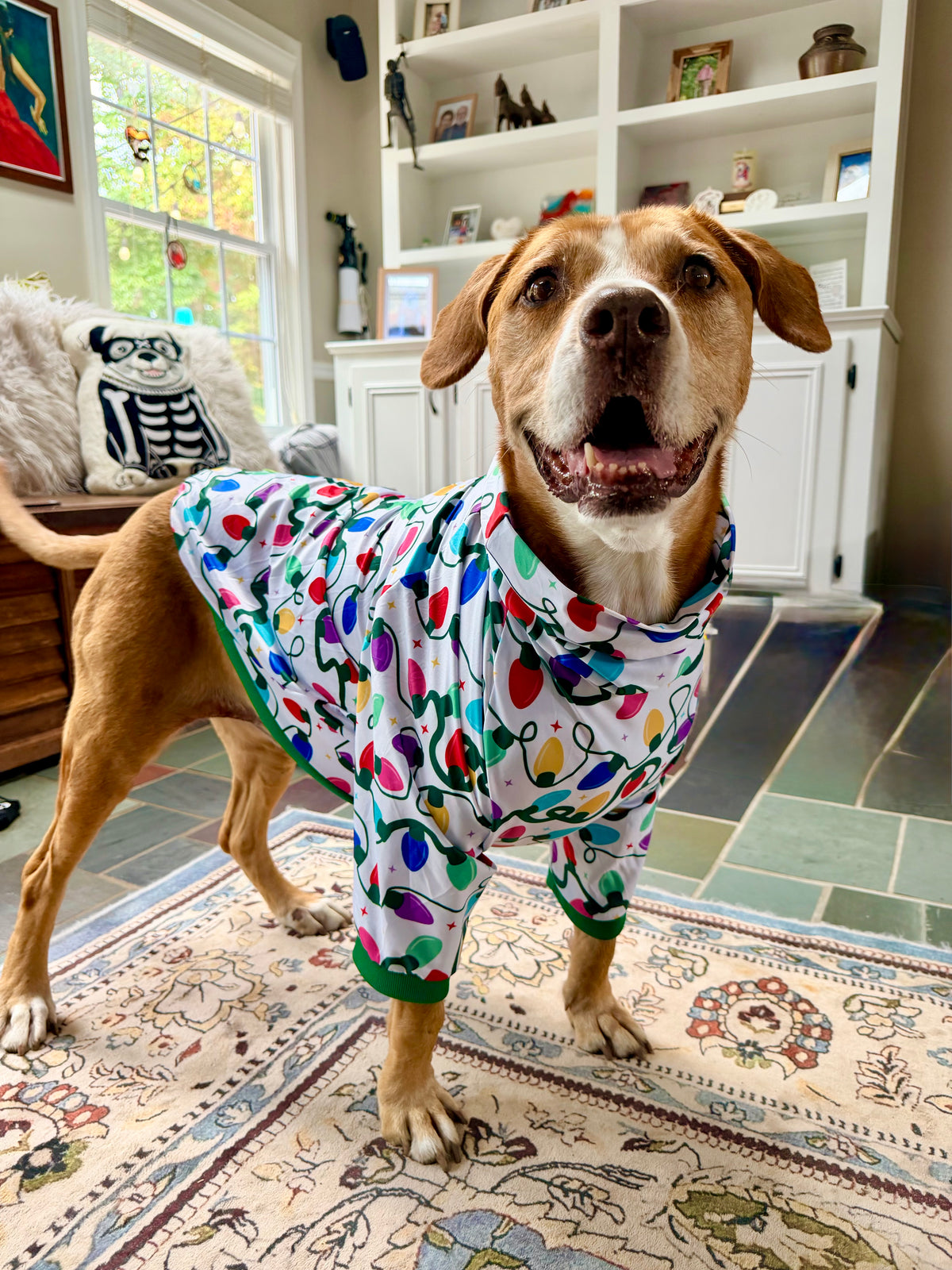 Merry & Bright Christmas Lights - White   - Dog Pajama with Green Neck & Trim/Sleeves