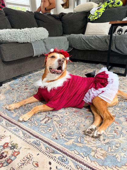 Santa’s Scarlet Belle Couture Christmas Dog Dress