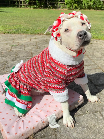 Holiday Dog Dress With White Flower