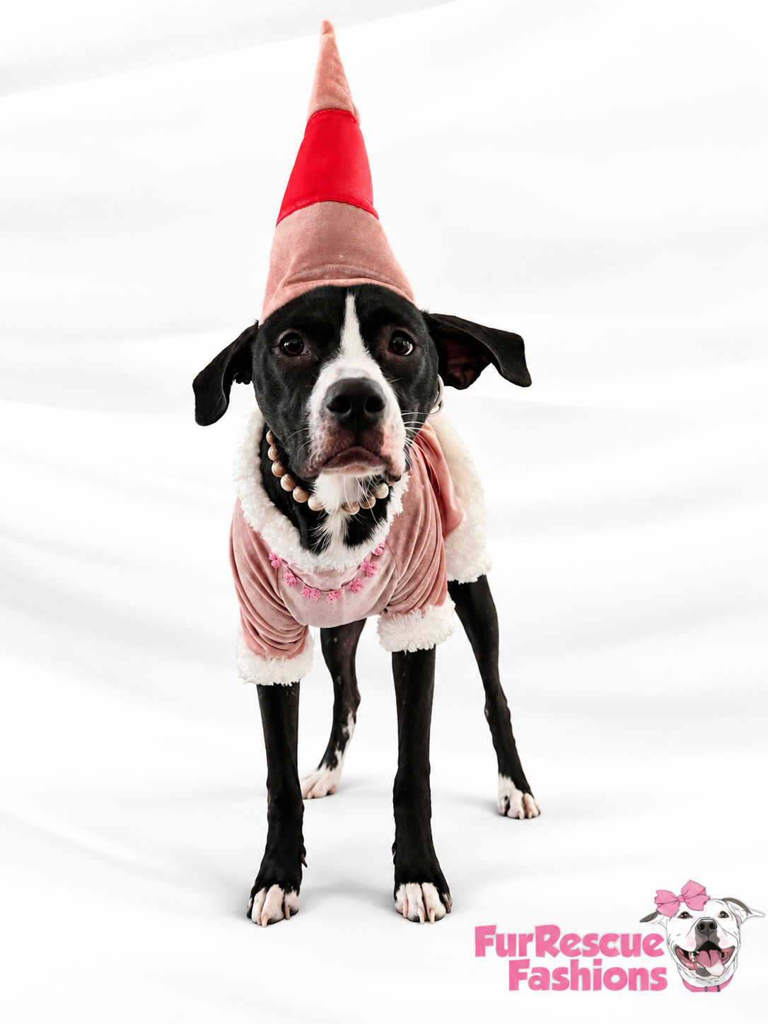 Jovie’s Christmas Cheer Dog Dress & Hat