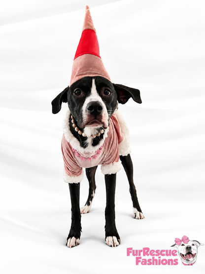 Jovie’s Christmas Cheer Dog Dress & Hat
