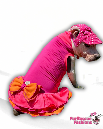 Everyday Color Block Dog Dress With Bow
