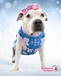 Snow Puppy - PAWjama with Lilac Neck & Trim/Sleeves