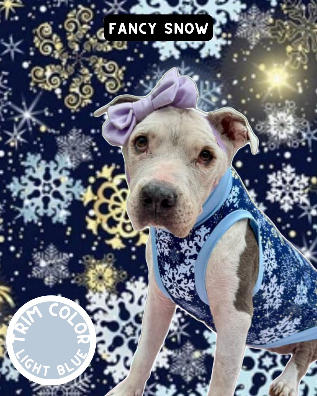 Fancy Snow Dog Pajama with Light Blue Neck & Trim/Sleeves