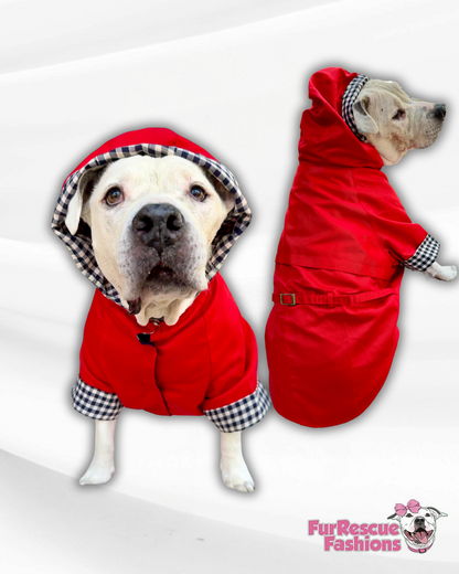 Red Dog Trench Coat With Hoodie