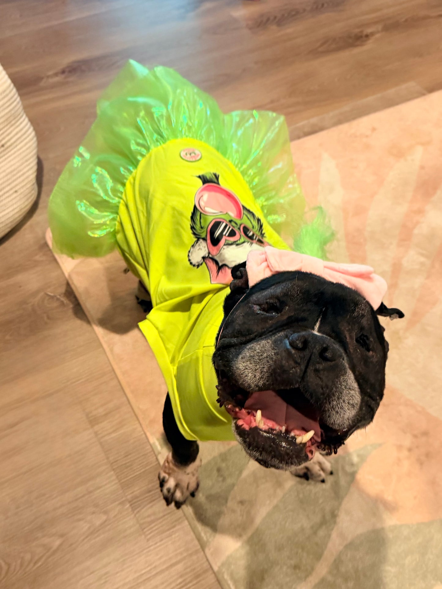 Grinch Bubblegum Dog Tutu Dress With Headband