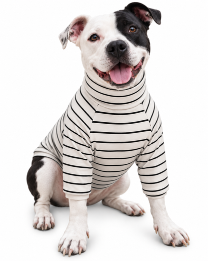 Classic Chic Stripes Dog Shirt(Classic Fabric)