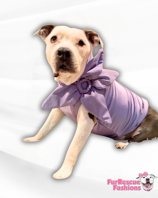 Couture Violet Floral Dog Shirt or Dress