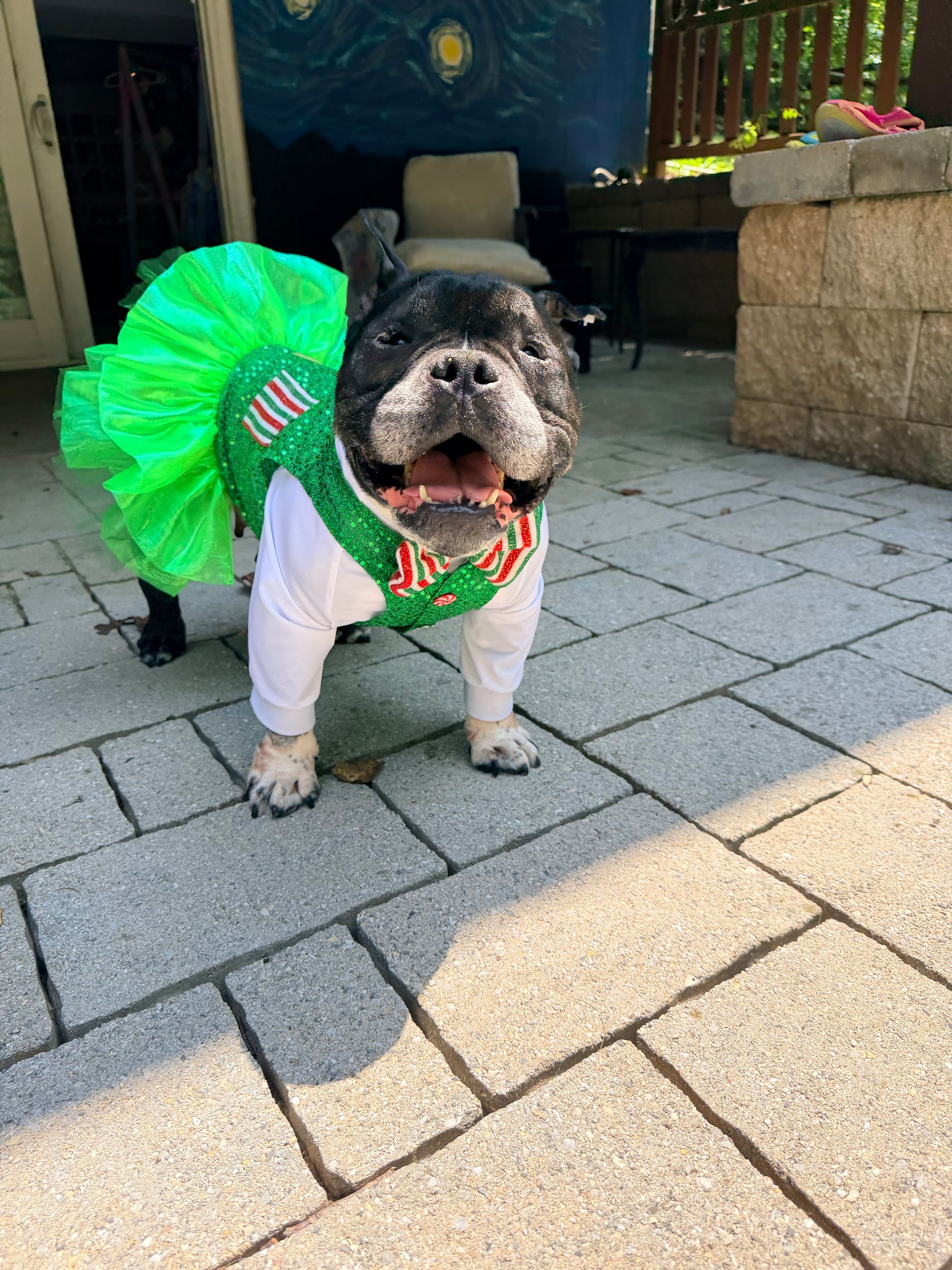 Christmas Candy Shop Sparkle Dog Tutu Dress