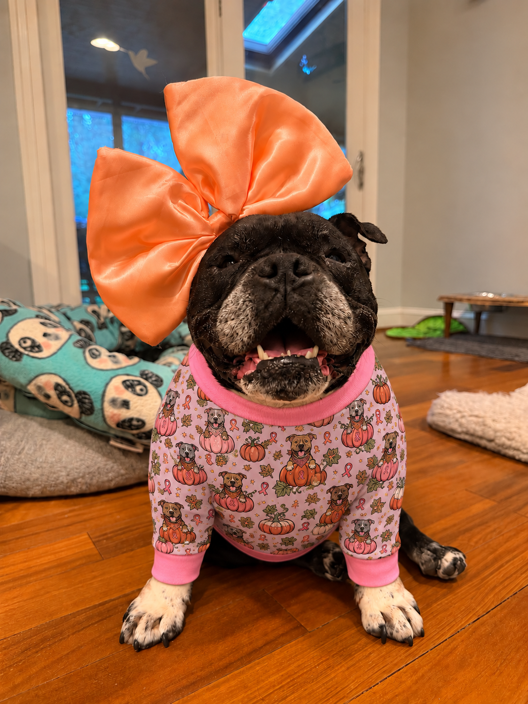 Orange You Glad We Wear Pink (Light Lavender) - Dog Pajama with Pink Neck & Trim/Sleeves