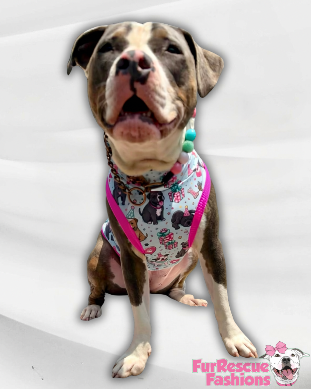 Let’s Pawty on My Barkday Light Aqua - Dog Pajama with Pink Neck & Trim/Sleeves