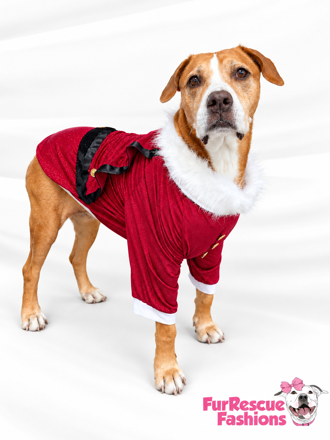 Santa’s Scarlet Christmas Dog Shirt