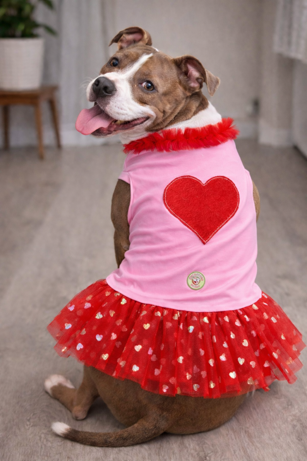 Lover girl Dog Tutu Dress (Available in 3 colors)