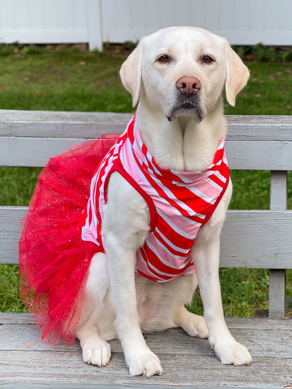 2026 Christmas in July Dog Tutu Dress (Available in all patterns)