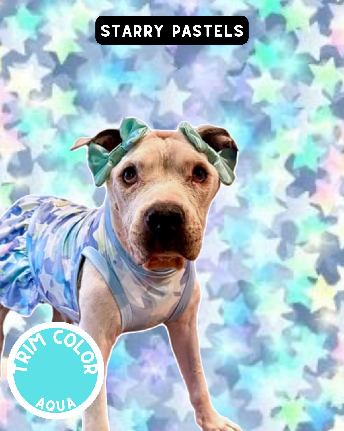 Starry Pastels Dog Pajama with Aqua Neck & Trim/Sleeves