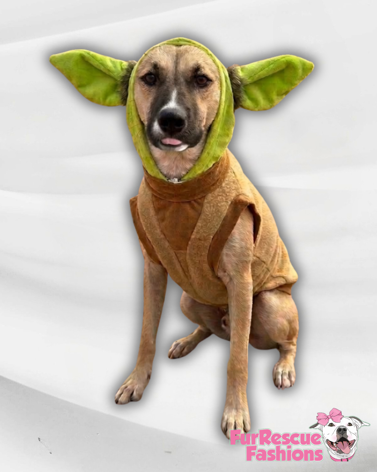 PAWda – Little Galactic Dog Hoodie