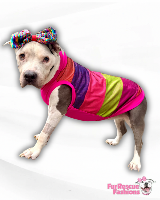 Sparkly Rainbow Fuchsia Dog Shirt