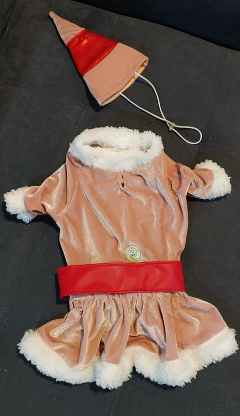 Jovie’s Christmas Cheer Dog Dress & Hat