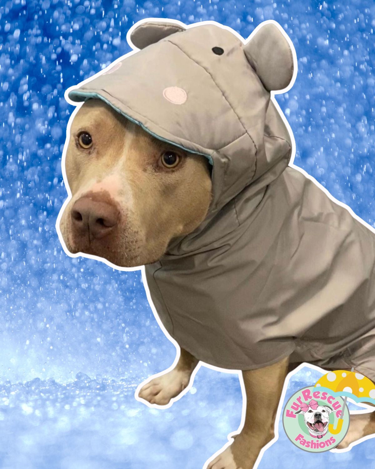 Hippo Rain Jacket - Cape - Vest