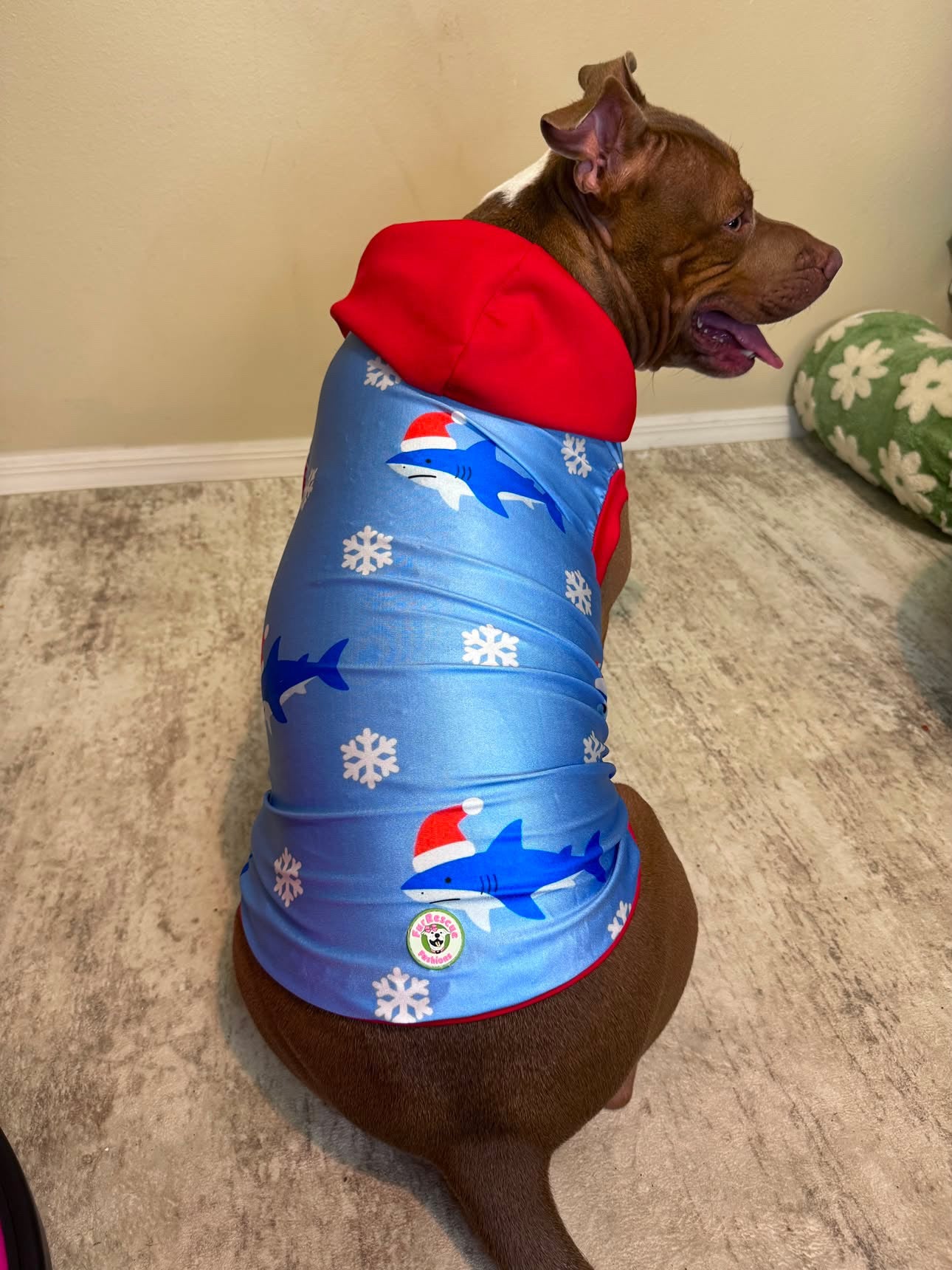 Santa Sharks - Dog Pajama with Red Neck & Trim/Sleeves