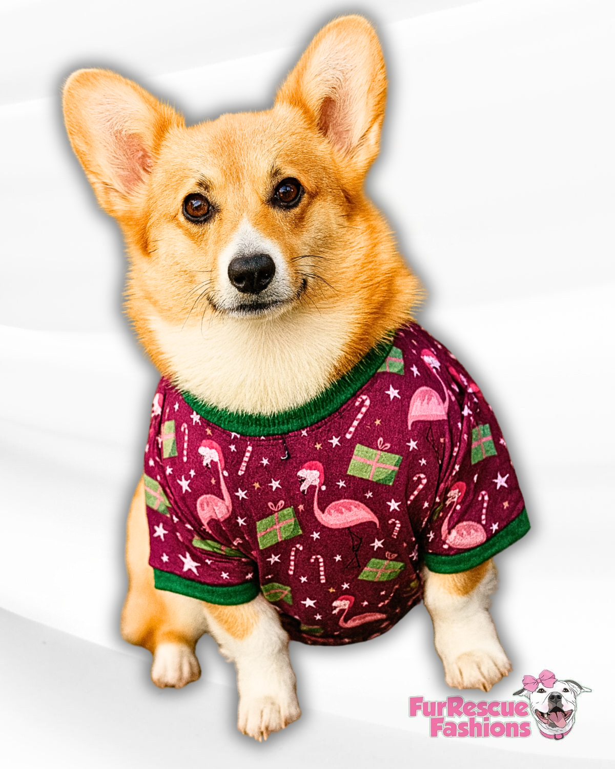 Fa-La-La-Mingo Dog Pajama with Green Neck & Trim/Sleeves