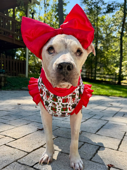 Gift Wrapped Joy Dog Pajama with Red Neck & Trim/Sleeves