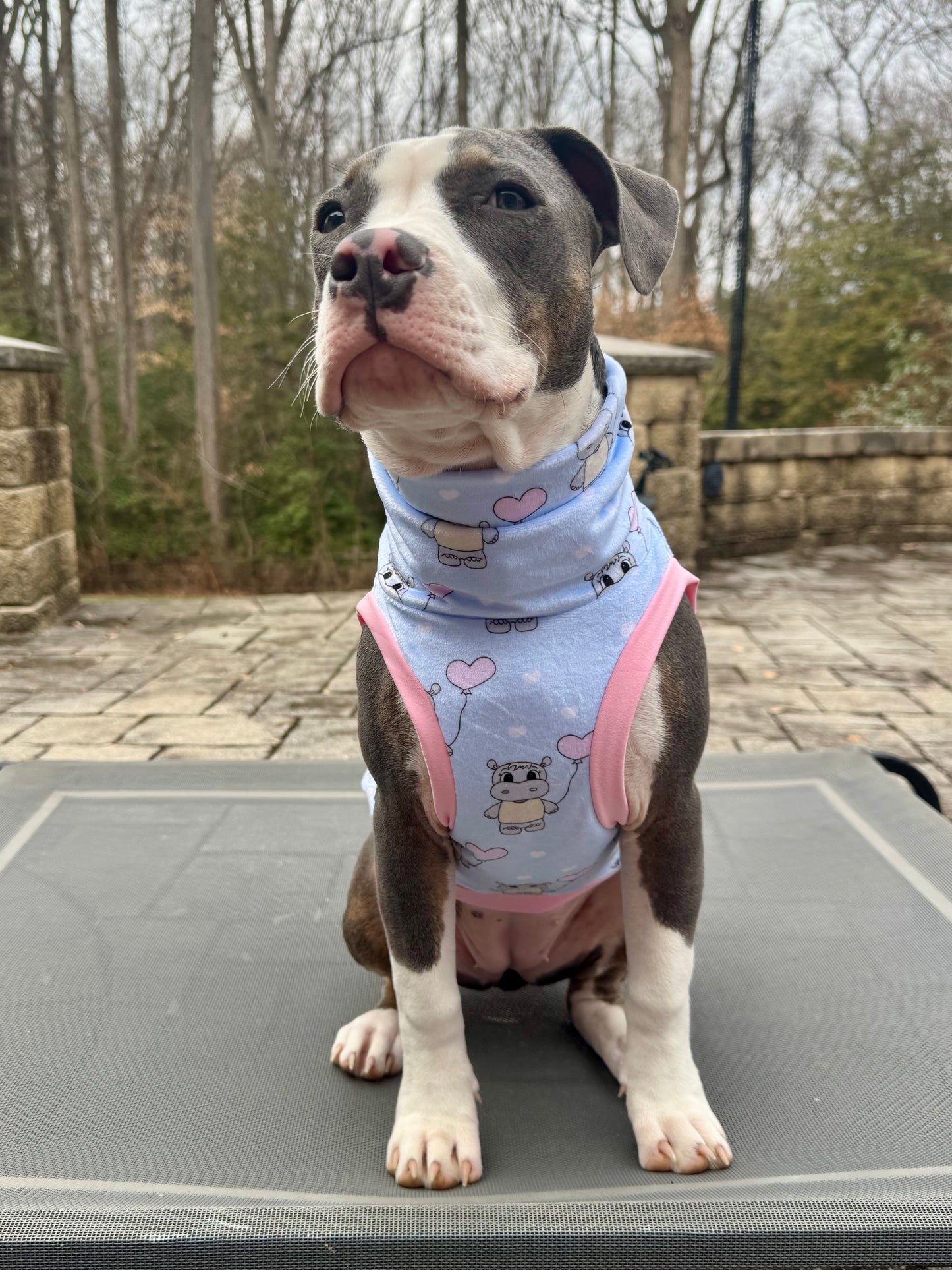 Love is in the Air(Hippo Edition) Dog Pajama with Pink Neck & Trim/Sleeves