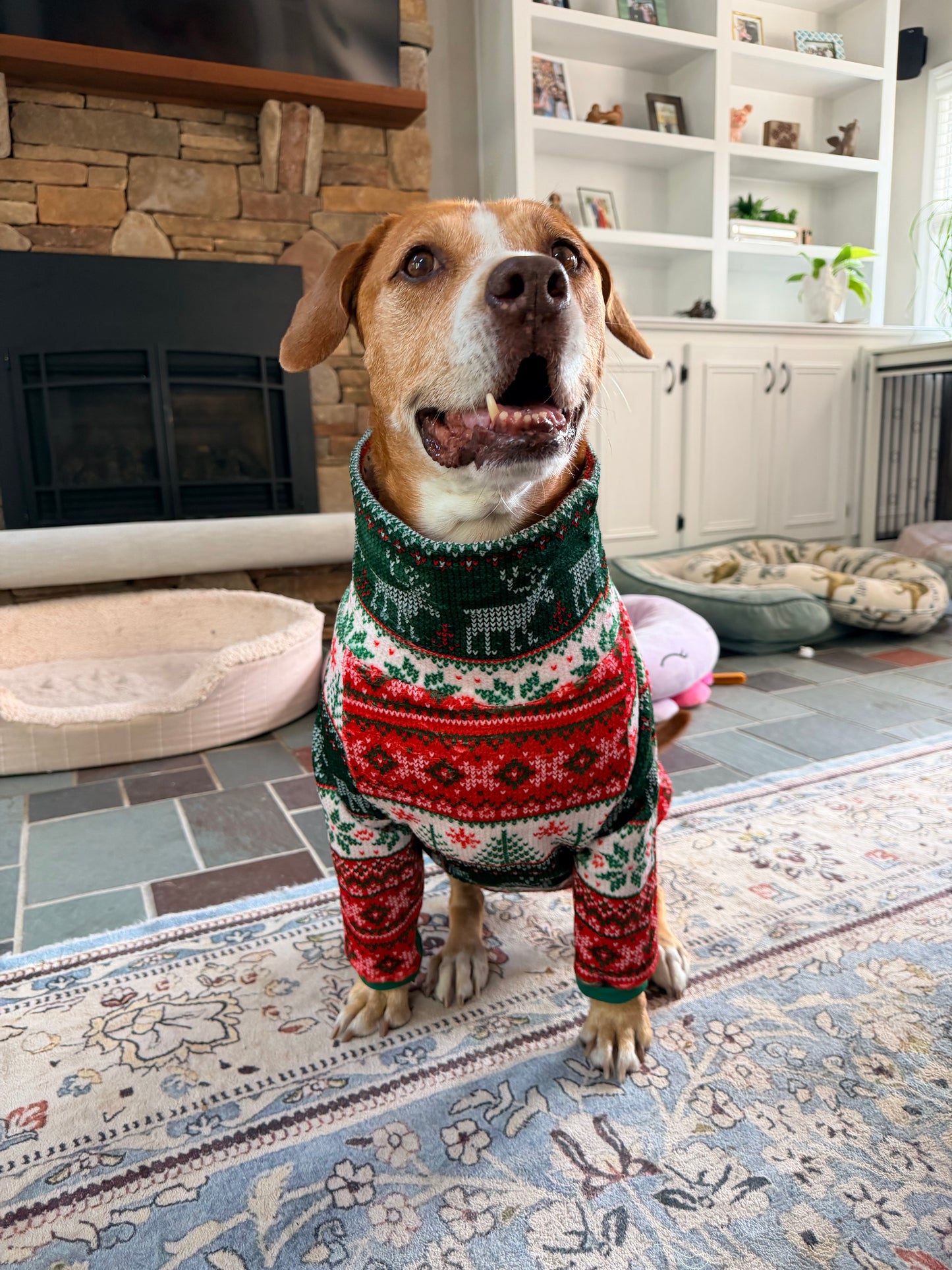 Cozy Christmas Knit Fair Isle - Dog Pajama with Green Neck & Trim/Sleeves
