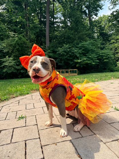 2026 Fall & Halloween Dog Tutu Dress (Available in all patterns)