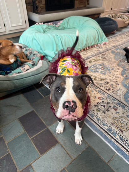 Golden Garden Dog Dress