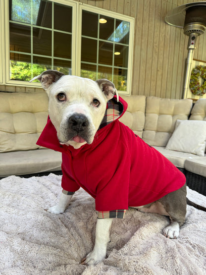 Classy Dog Peacoat With Barkberry & Fleece Lining  - Removable Hoodie (Red & Navy Blue)