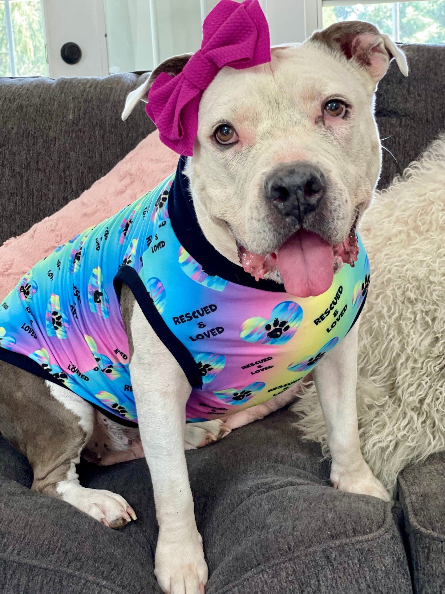 Rescued & Loved – Dog Pajama with Black Neck & Trim/Sleeves