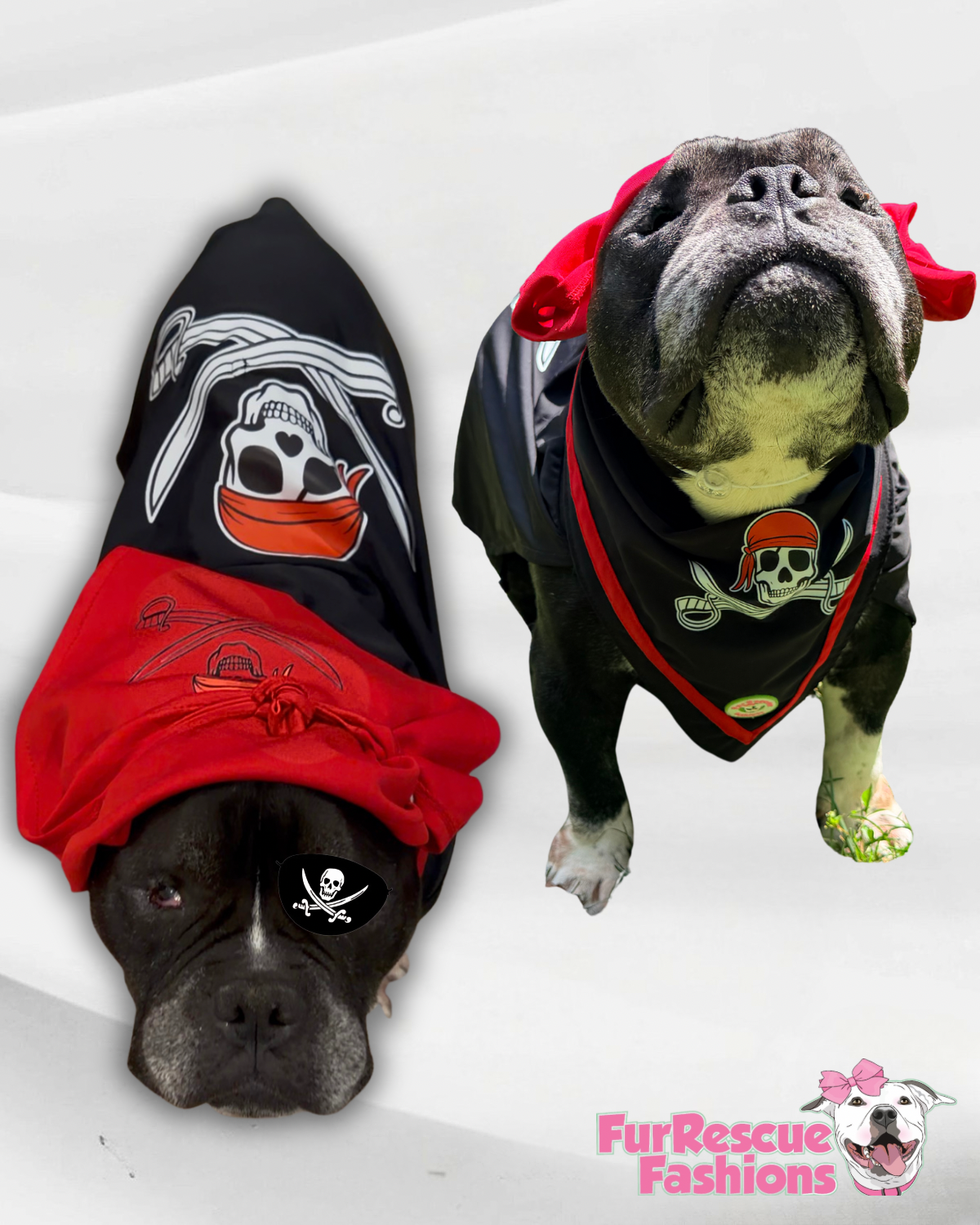 🏴‍☠️ Captain Pawrate – Pirate Dog Costume