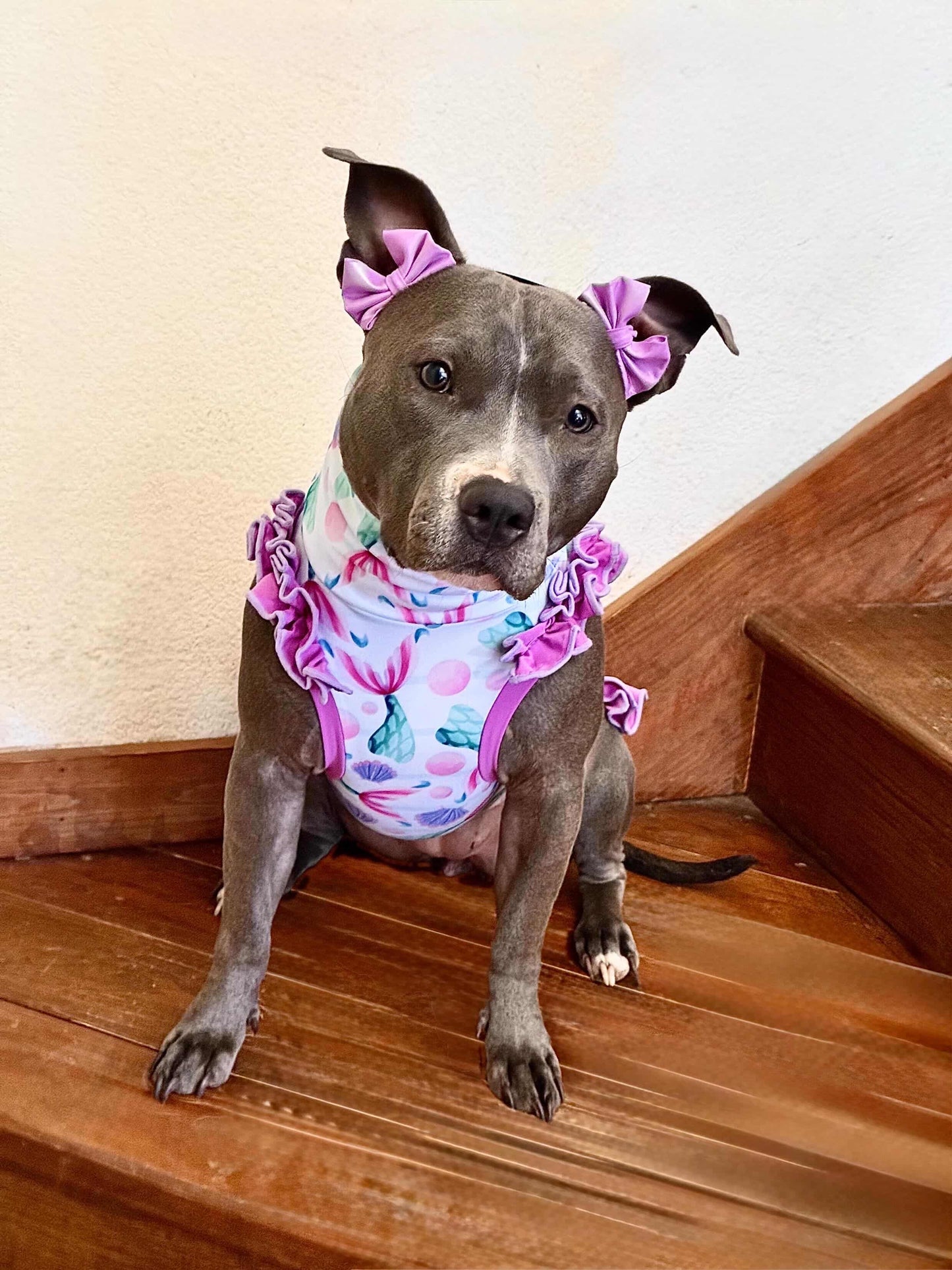 2026 Summer Dog Shirt With Ruffles On the Booty (AVAILABLE IN ANY PRE-ORDER PATTERN)